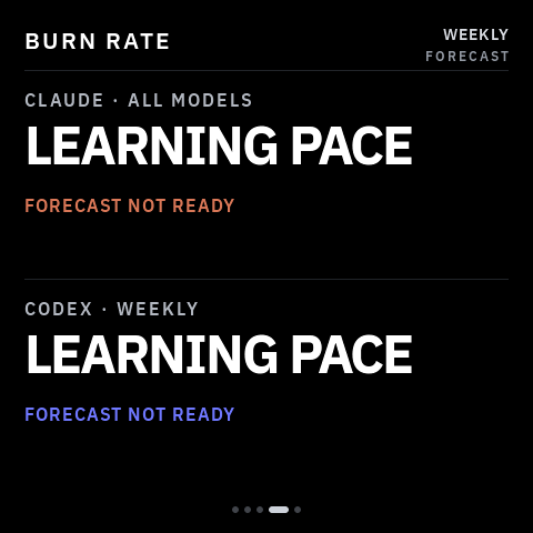 Burn pace still learning